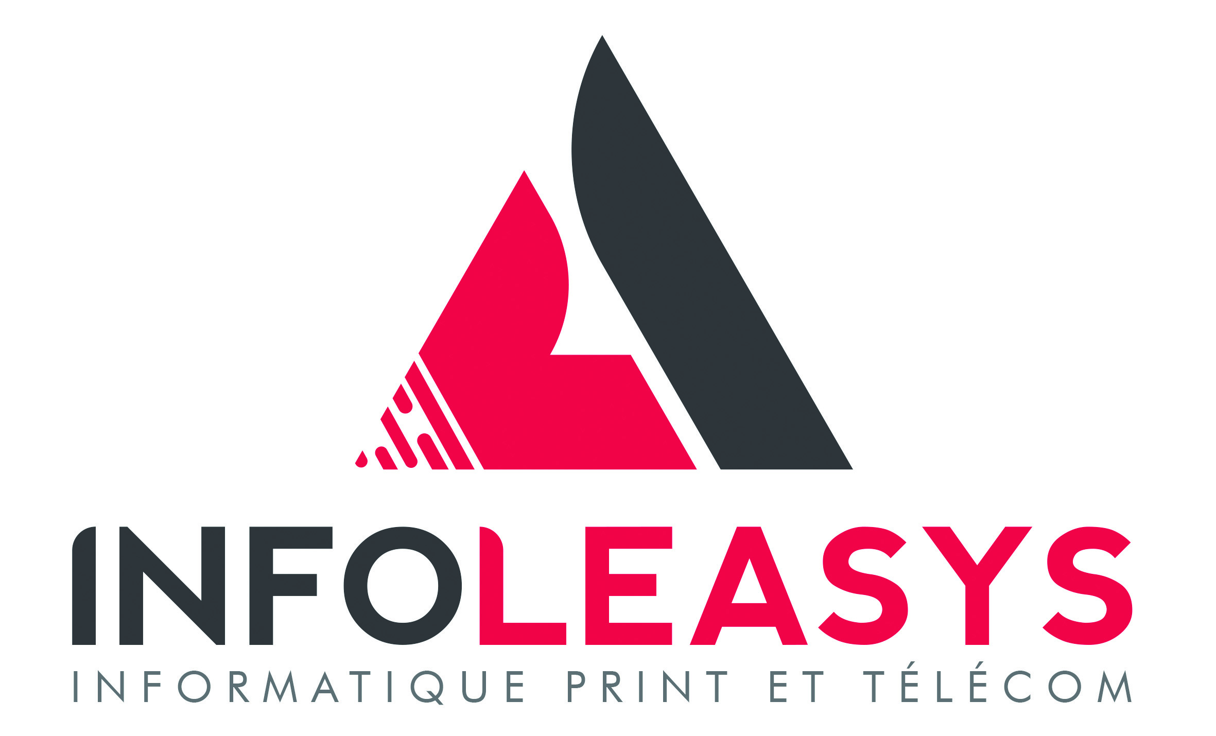 InfoLeasys_Logo_UsagePrint_sansweb